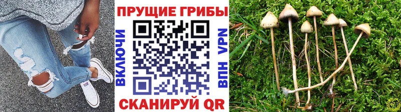 Галлюциногенные грибы прущие грибы Петухово